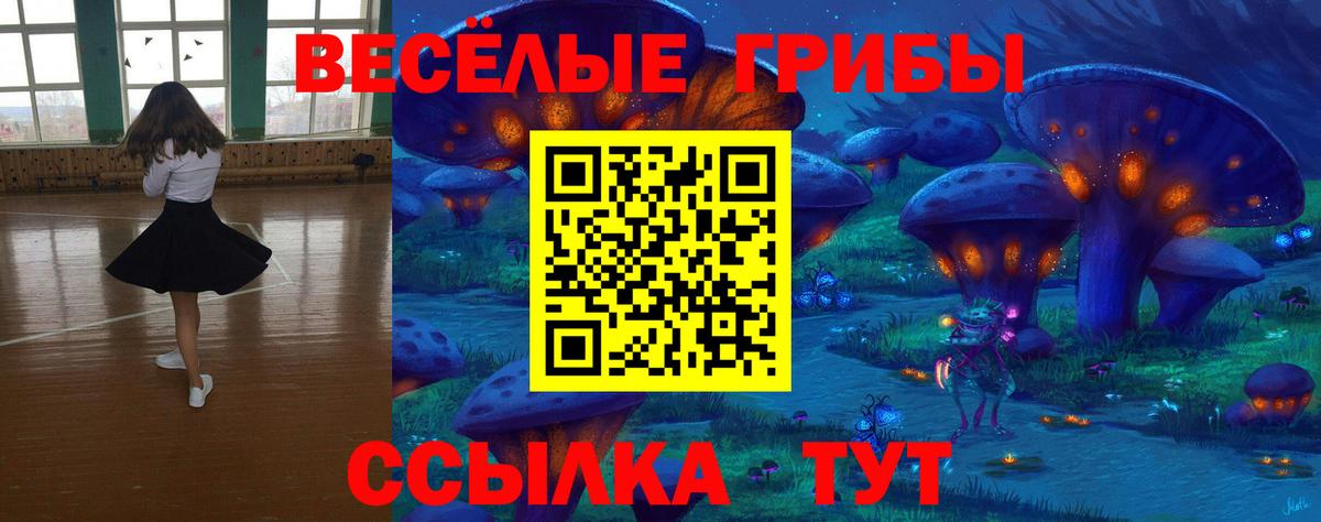 где найти   Вход с VPN  Муром  Псилоцибиновые грибы Cubensis 
